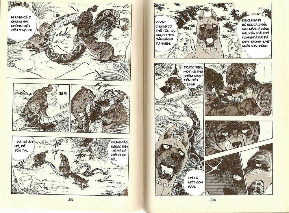 Chú Chó Có Nghĩa - Ginga Nagareboshi Gin: Chapter 12