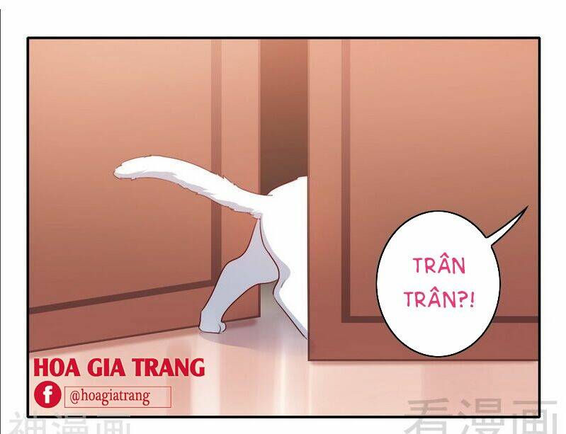 Phục Thù Thiếu Gia Tiểu Điềm Thê: Chapter 58