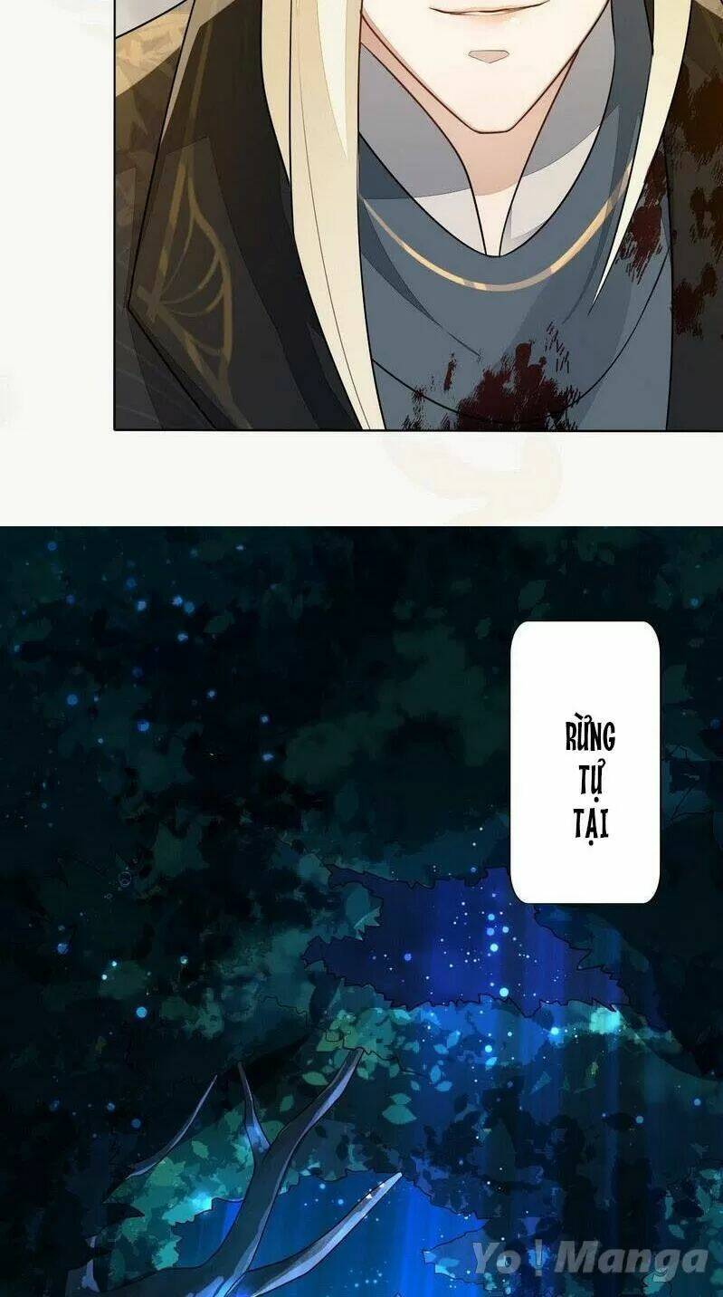 Tuyệt Thế Luyện Đan Sư: Chapter 157