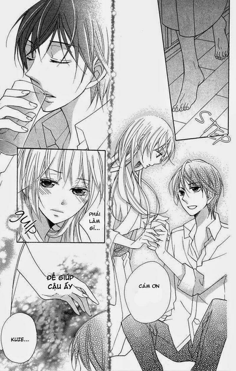 Hoa Hồng Hoang Dã: Chapter 7