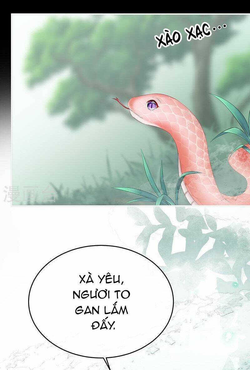 Kiều Phu Có Hỉ: Chapter 67