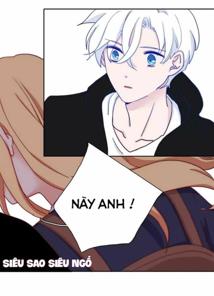 Trái Tim Băng Giá: Chapter 19