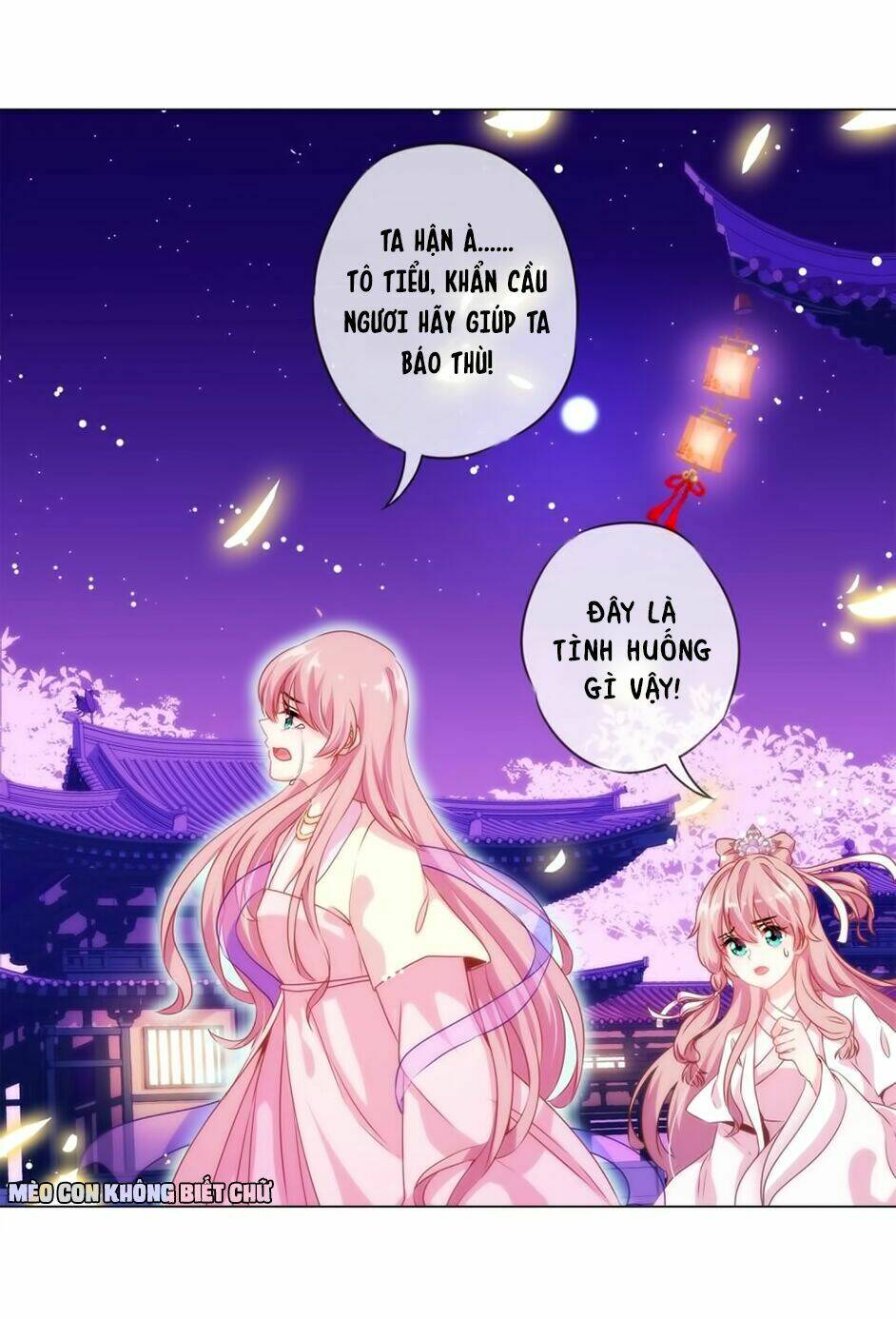 Ồ, Sủng Phi Đại Nhân Của Ta: Chapter 1