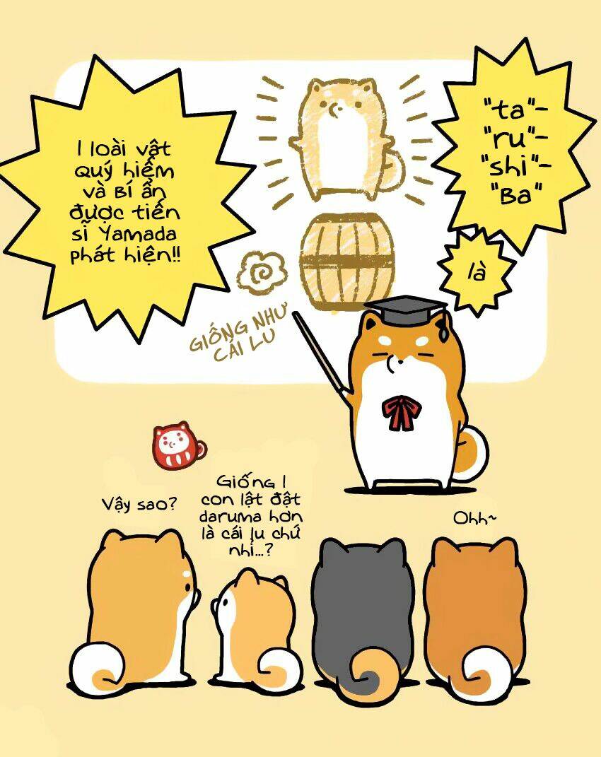 Taru Shiba: Chapter 9