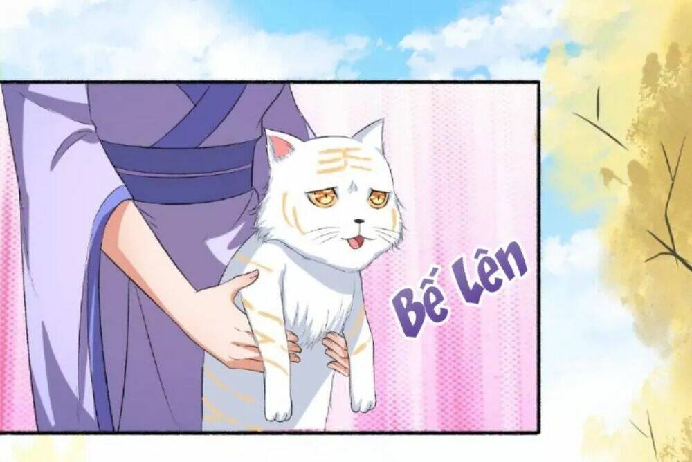 Cuồng Phi Phách Lối: Chapter 73