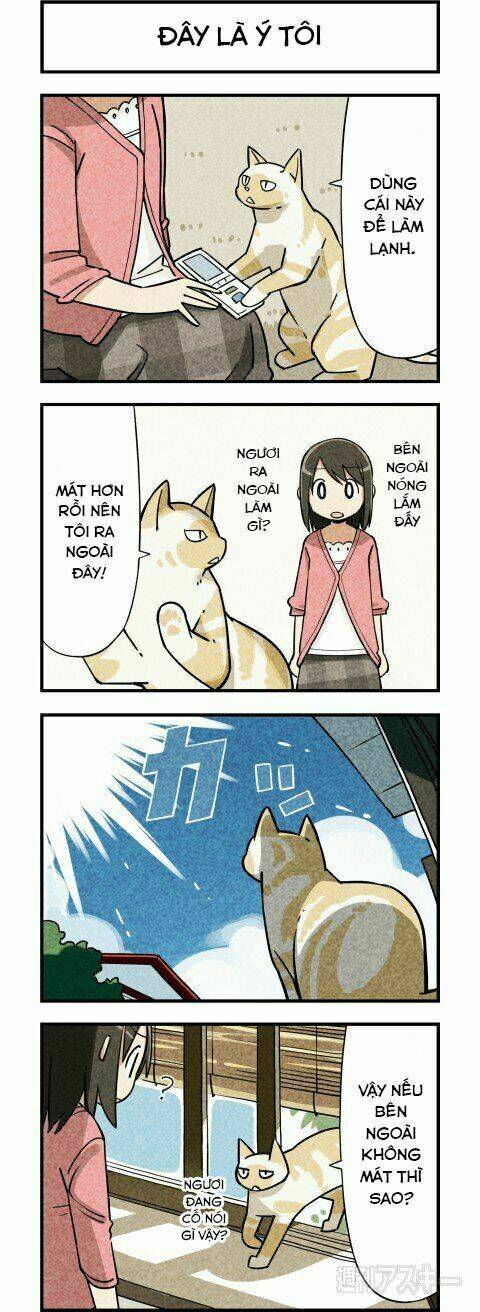 We Are Cat: Chapter 4