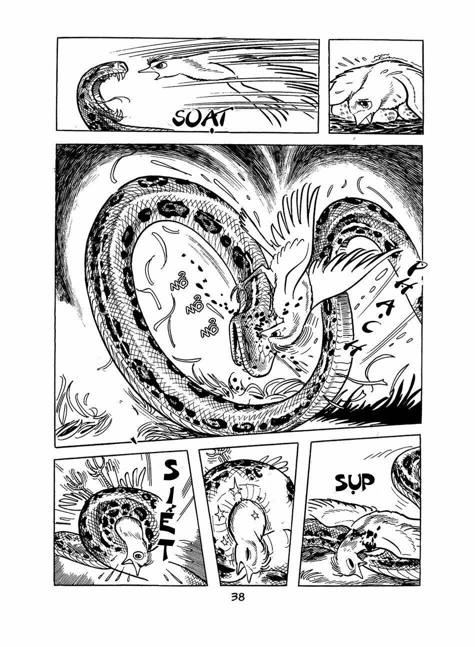 Apollo\’s Song: Chapter 0