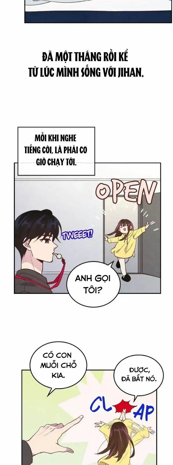 Cuộc Hôn Nhân Bất Khả Thi: Chapter 13