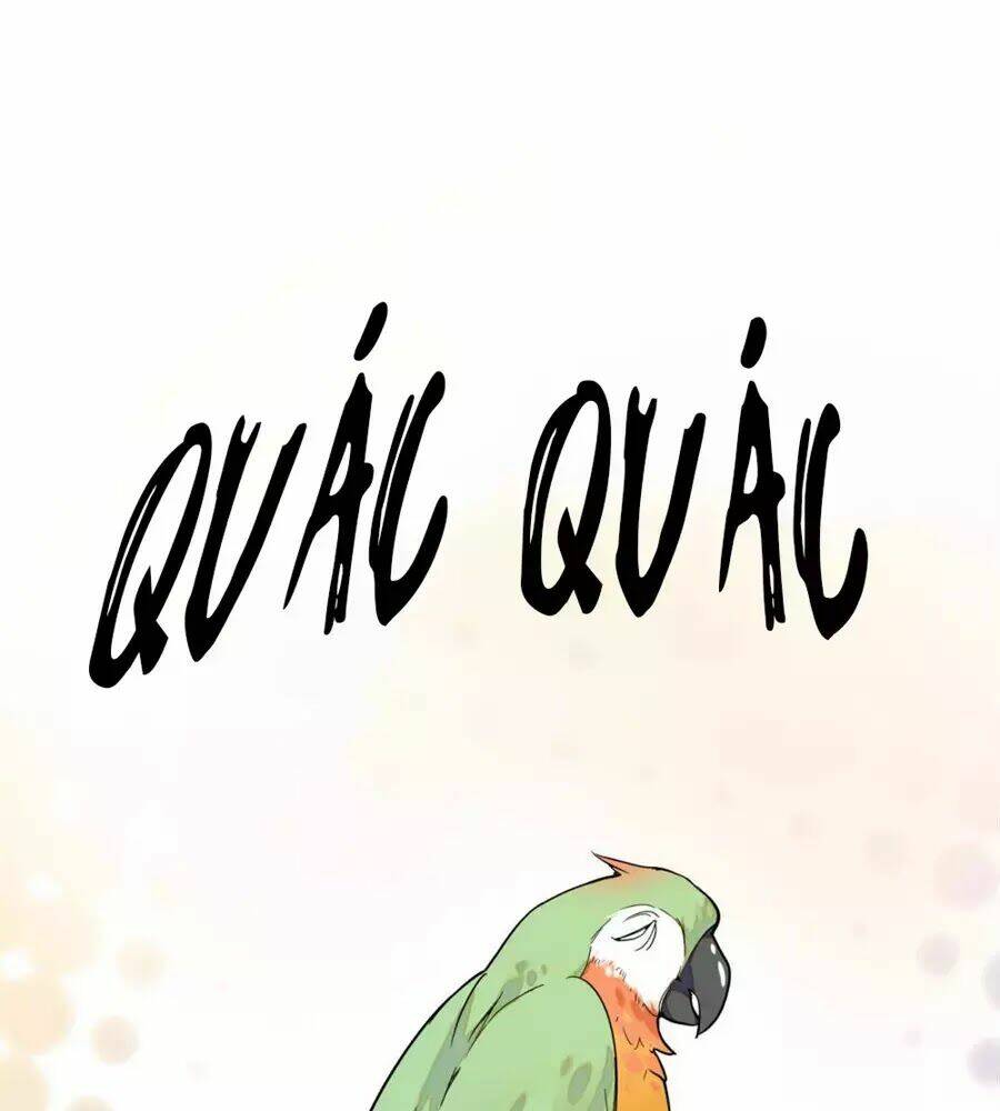 Huyết Túc Khế Ứớc: Chapter 5