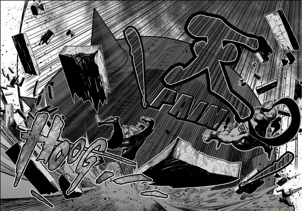 Macrophage Regulation: Chapter 3