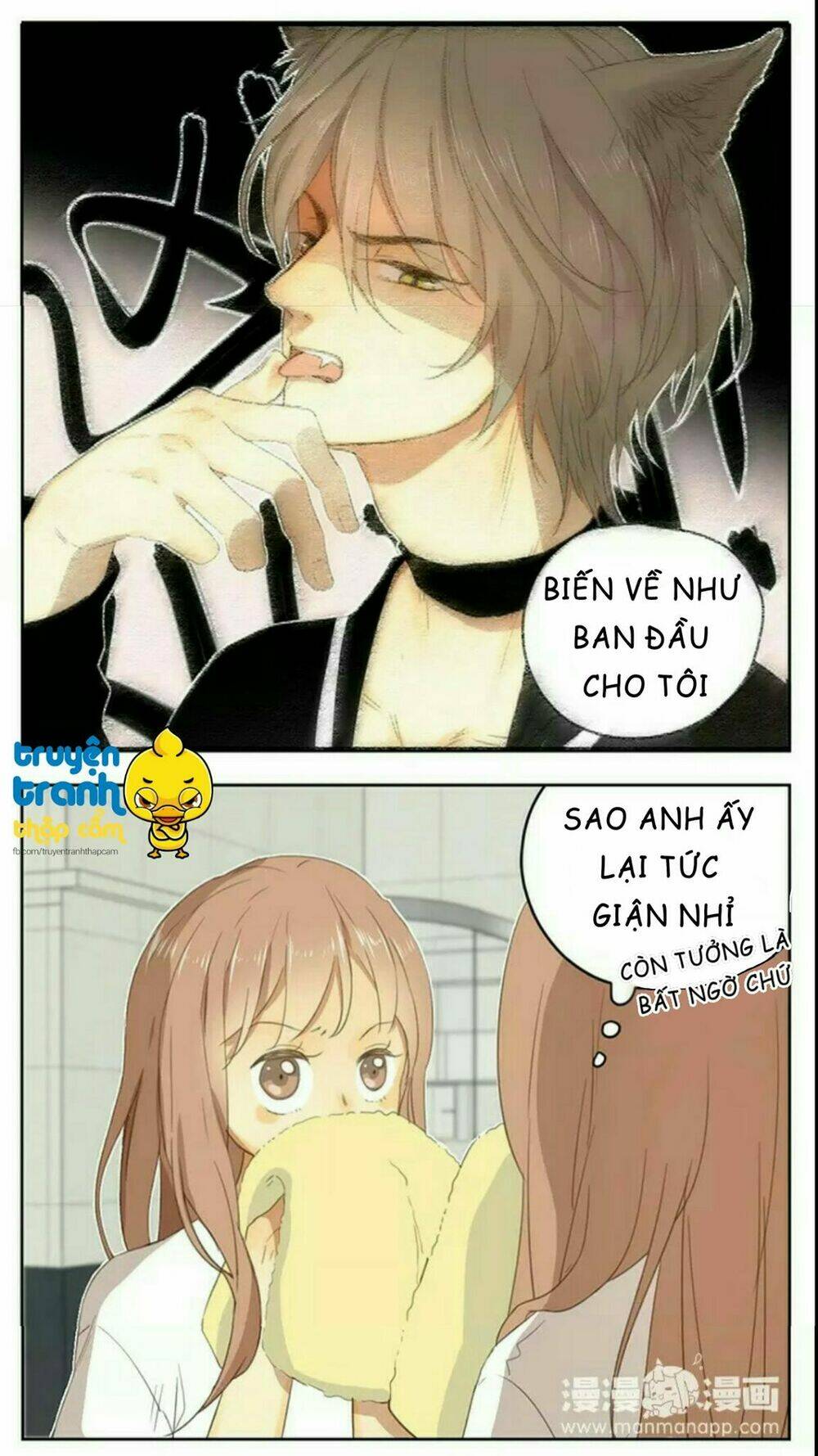 Cứu Mạng! Loài Mèo Thống Trị Thế Giới Rồi!: Chapter 36