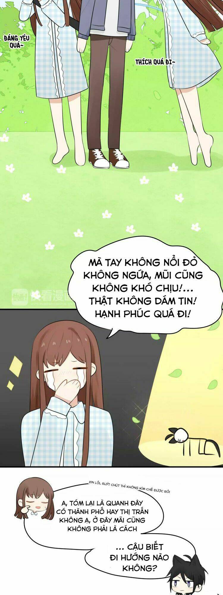 Tiểu Miêu Và Hắc Diệu Thạch: Chapter 1