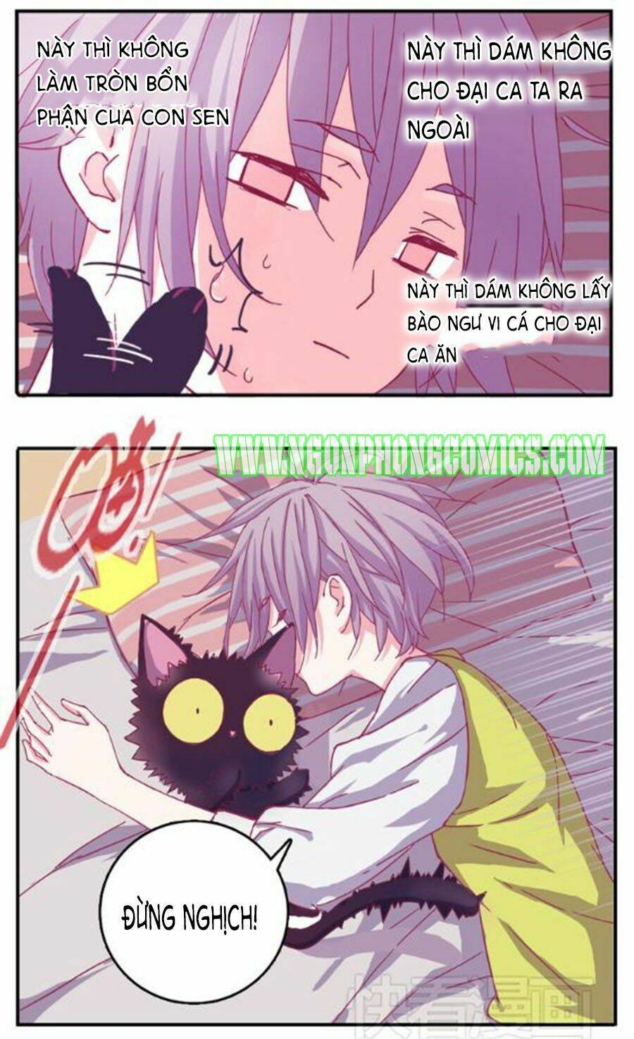 Đừng Nghịch, Ta Chỉ Muốn Yên Tĩnh: Chapter 1