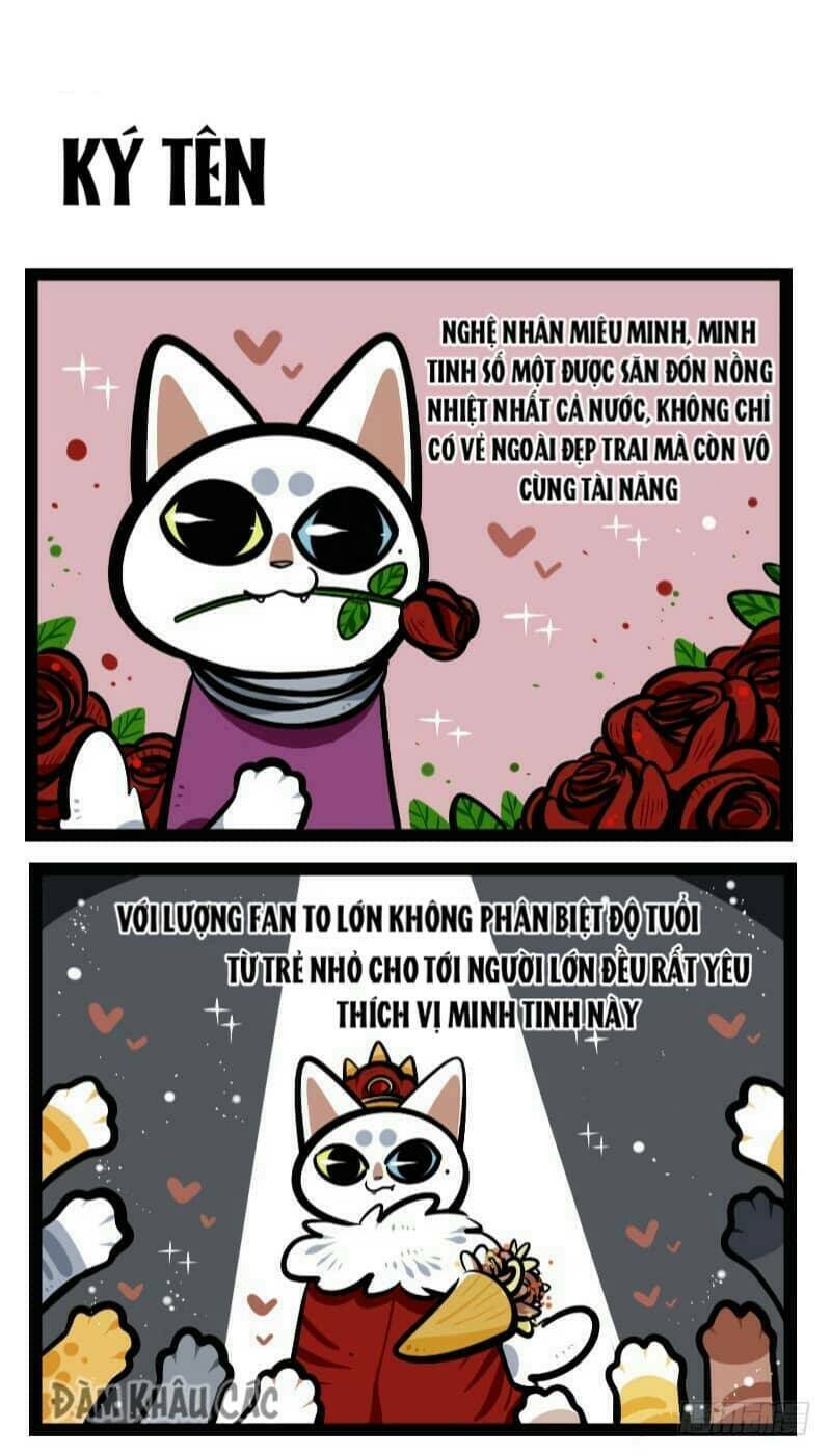 Đời Không Như Mình Tưởng: Chapter 43