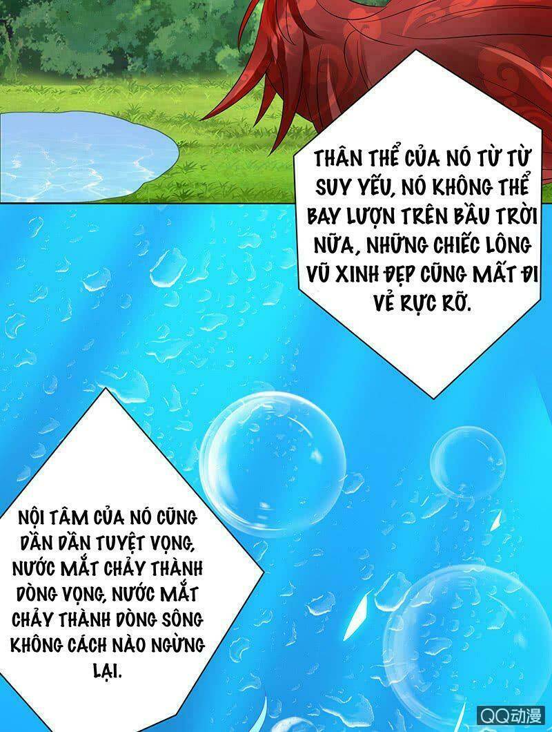 Băng Sơn Học Trưởng Không Được Chọc: Chapter 52.2