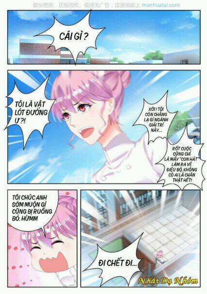 Tiểu Thư Tái Xuất: Chapter 6