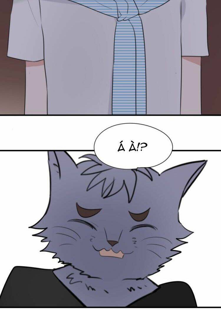 Tiểu Miêu Và Hắc Diệu Thạch: Chapter 8