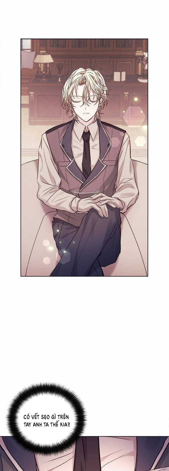 Nàng Dâu Bí Ẩn Của Bạch Sư Tử: Chapter 1