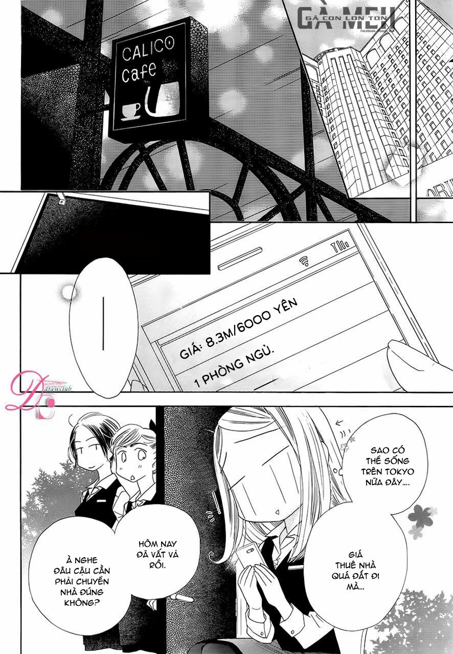 Ảo Ảnh Tình Yêu: Chapter 5