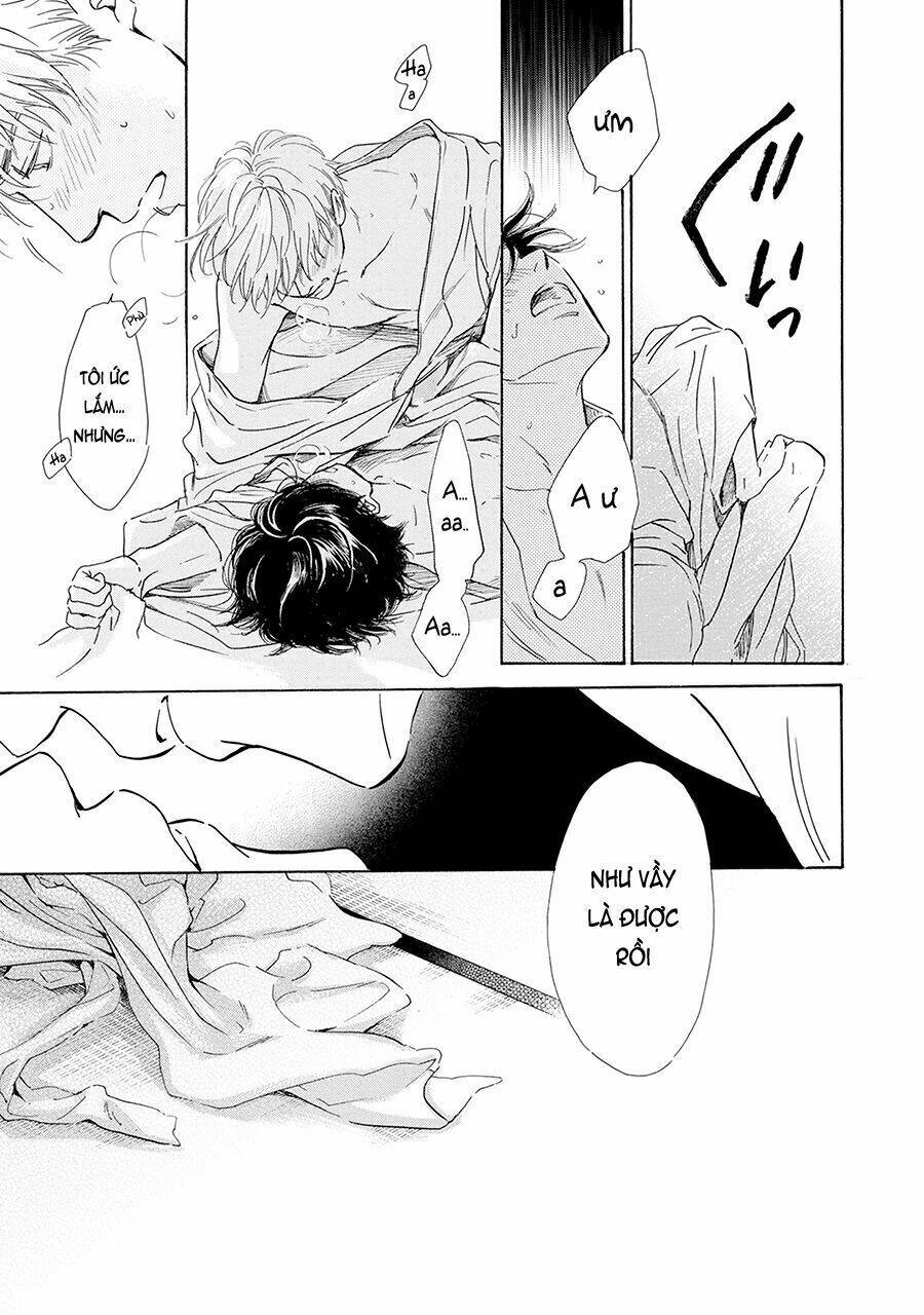 Bình Minh U Sầu: Chapter 39