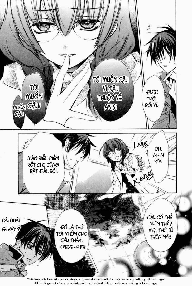 Nụ Hôn Của Công Chúa Tường Vi: Chapter 18