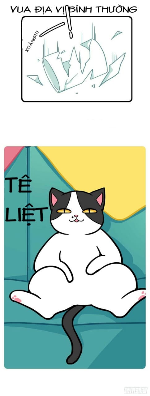 Hello Dư Tuyết Đặc: Chapter 1