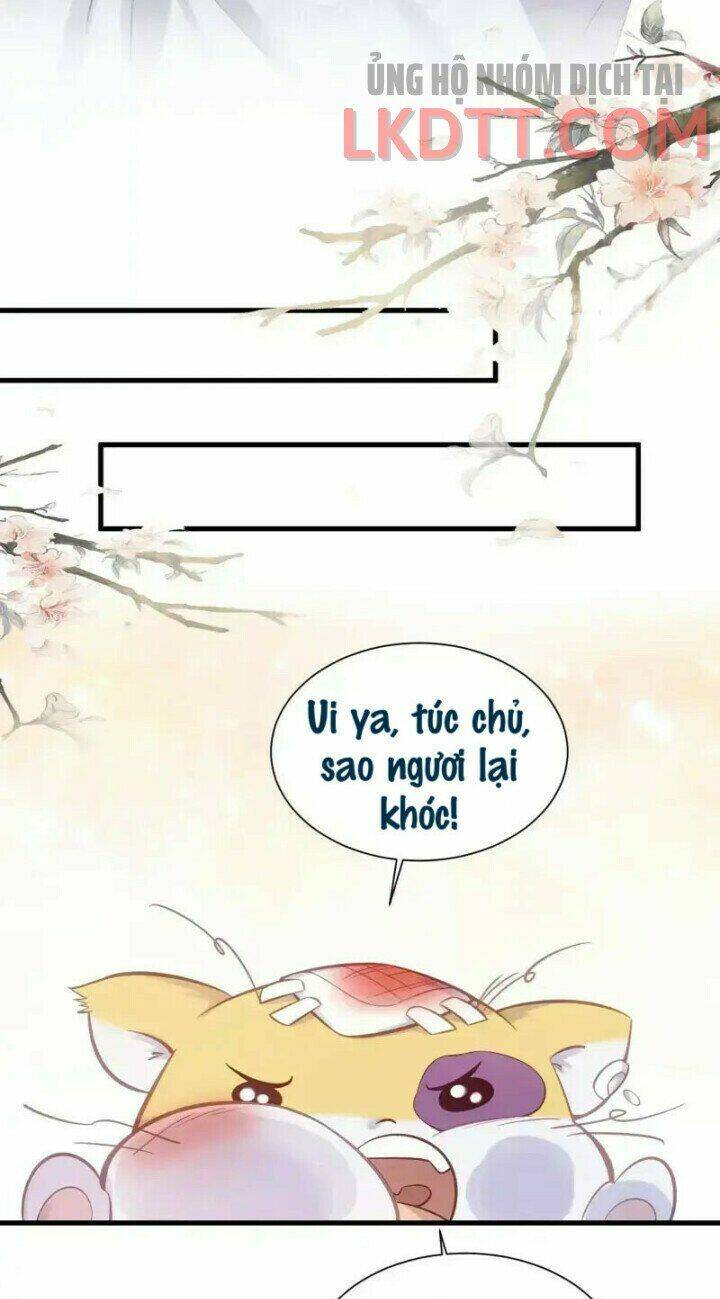 Nhật Kí Học Tập Của Hắc Liên Hoa: Chapter 11