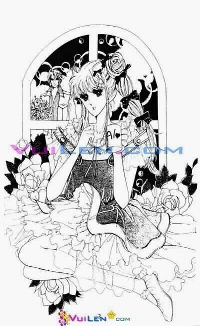 Lá Chắn Tình Yêu: Chapter 8