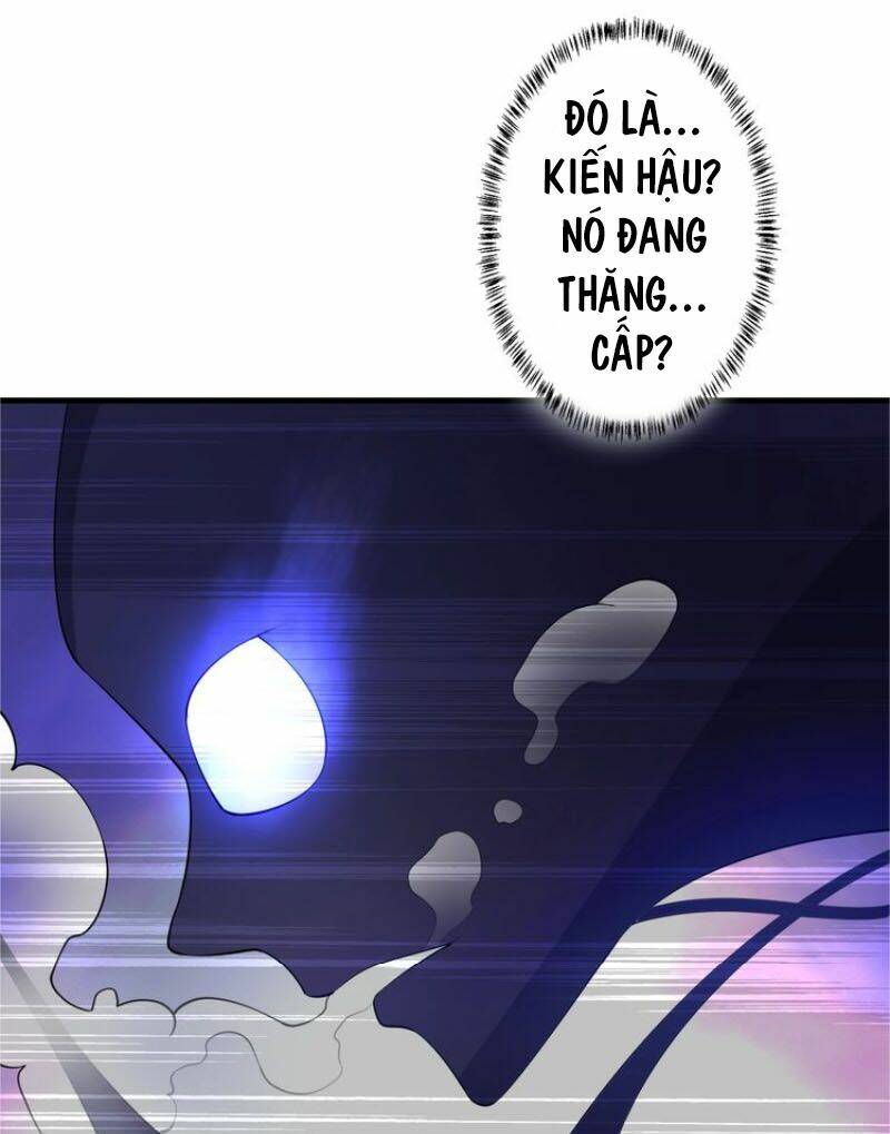 Ta Luyện Dược Thành Thánh: Chapter 15