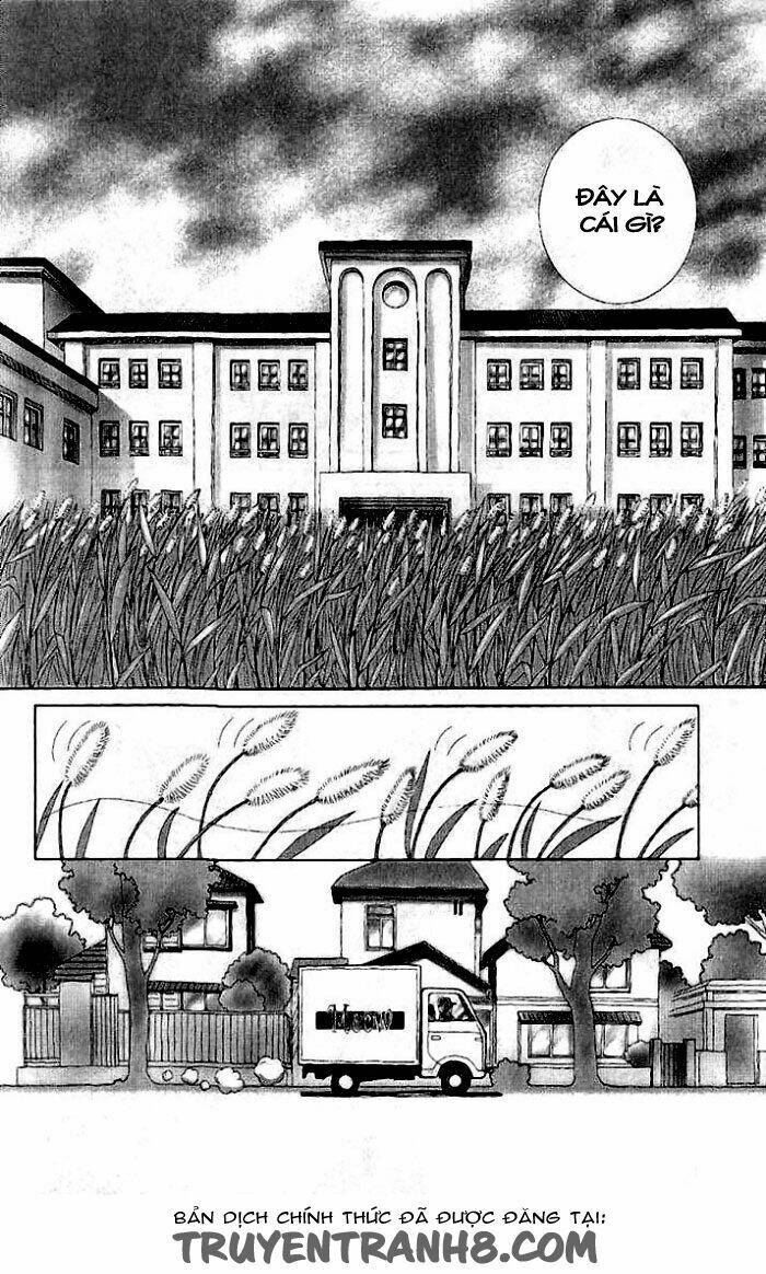 Lời Thì Thầm Từ Trái Tim: Chapter 6