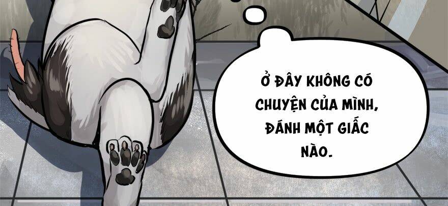 Vua Sinh Tồn: Chapter 75