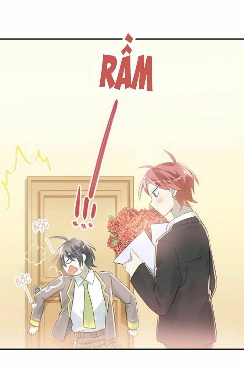 Đầu Gấu Biết Yêu: Chapter 104