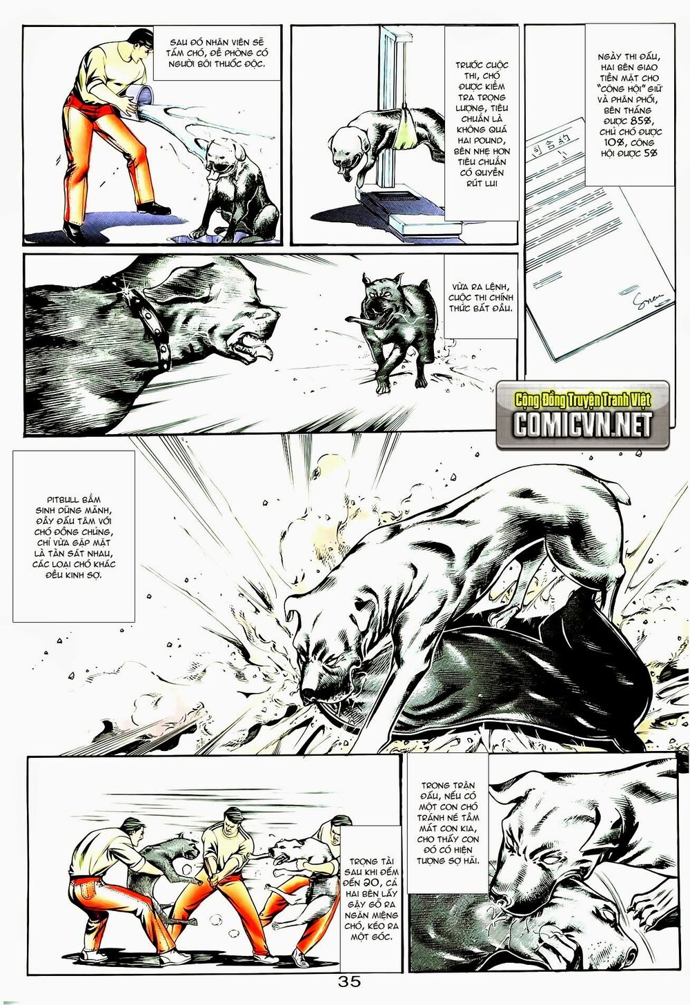 Người Trong Giang Hồ: Chapter 49: Cẩu Bá Vương