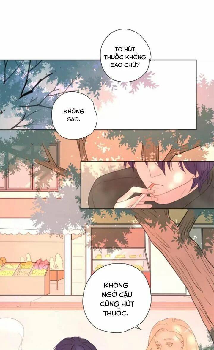 Cạm Bẫy Ngọt Ngào: Chapter 74