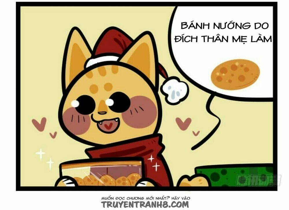 Đời Không Như Mình Tưởng: Chapter 13