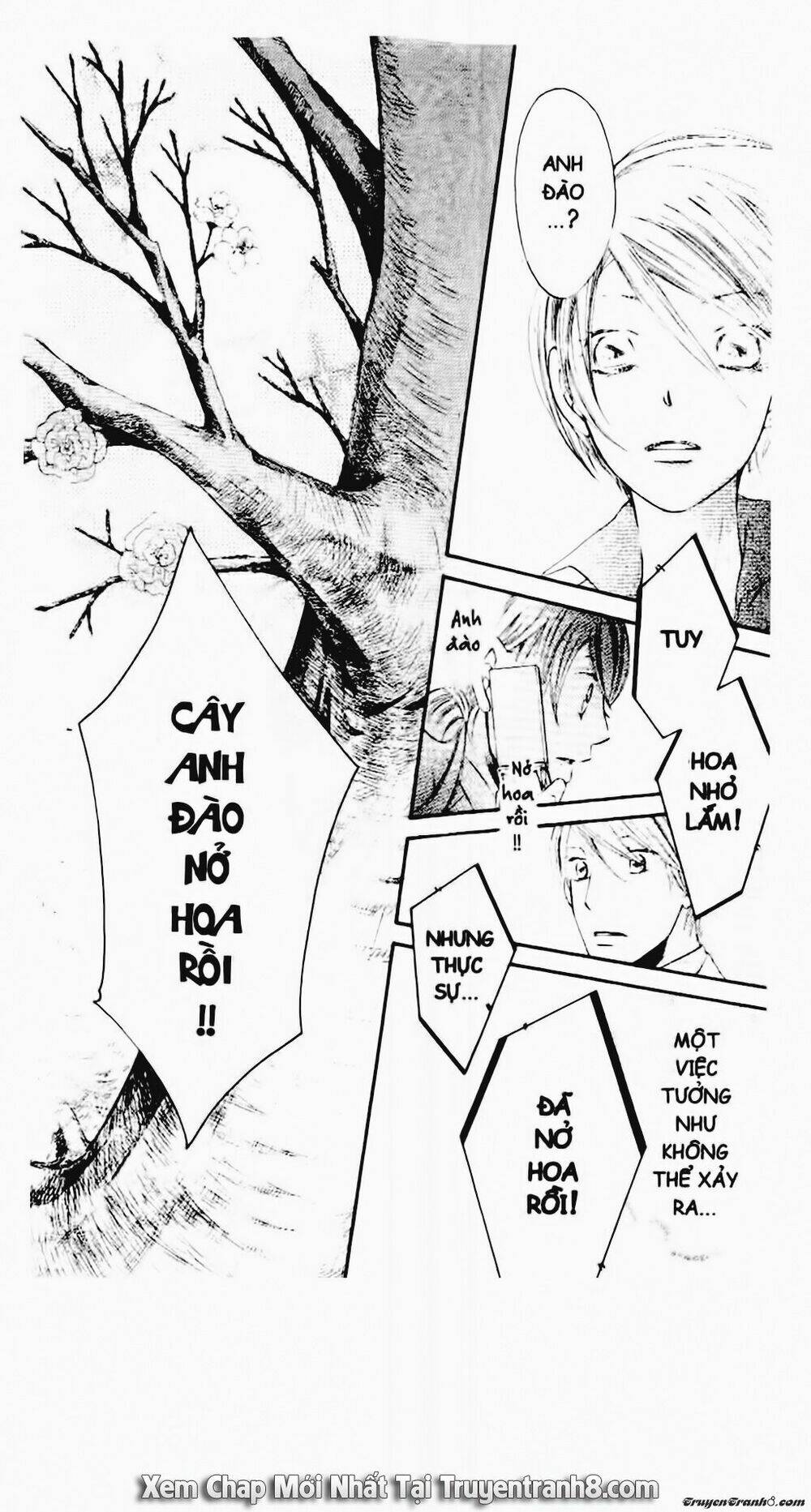 Tiểu Thư Sachie: Chapter 48