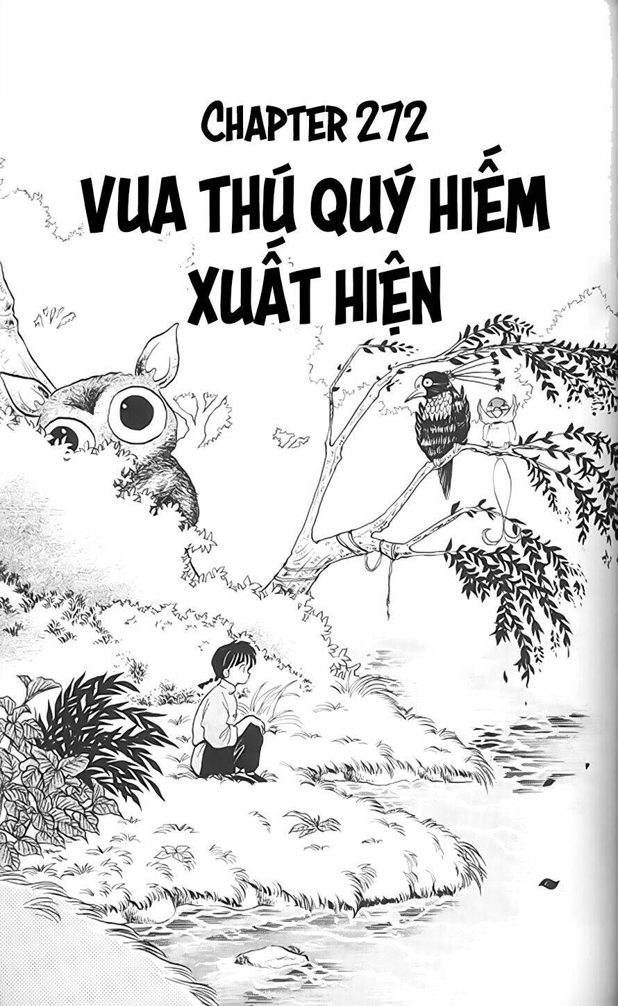 Suối Lời Nguyền: Chapter 272