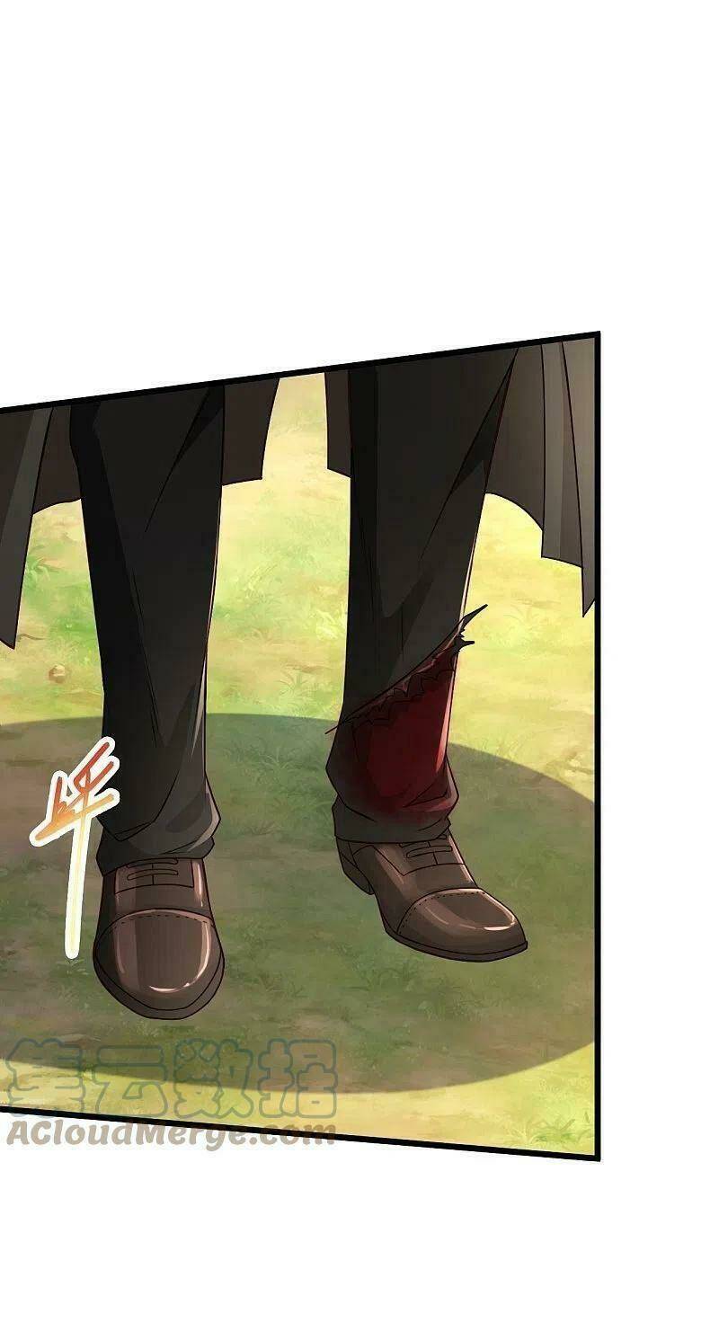 Tuyệt Phẩm Y Thánh: Chapter 243