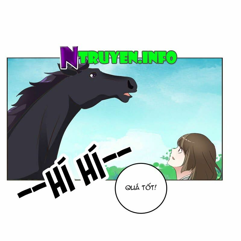 Thông Linh Phi: Chapter 198
