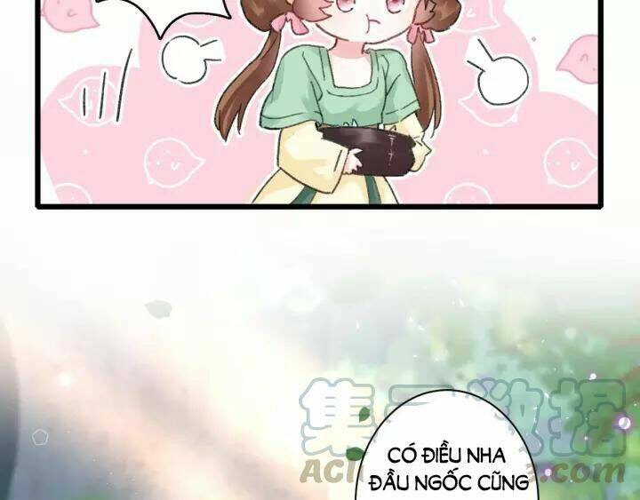 Hoa Nhan Sách: Chapter 155