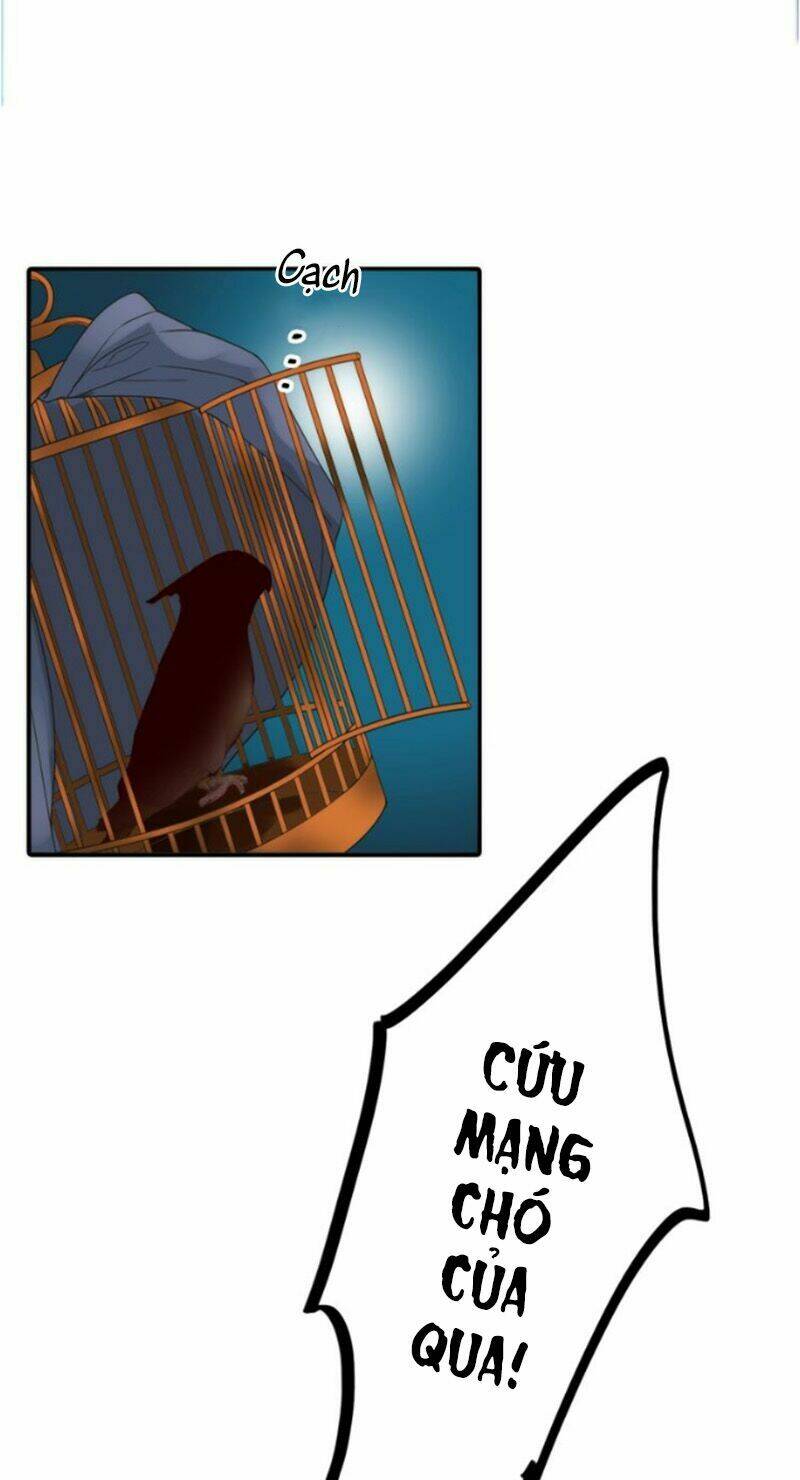 Cướp Chàng Vợ Về Đón Năm Mới: Chapter 22