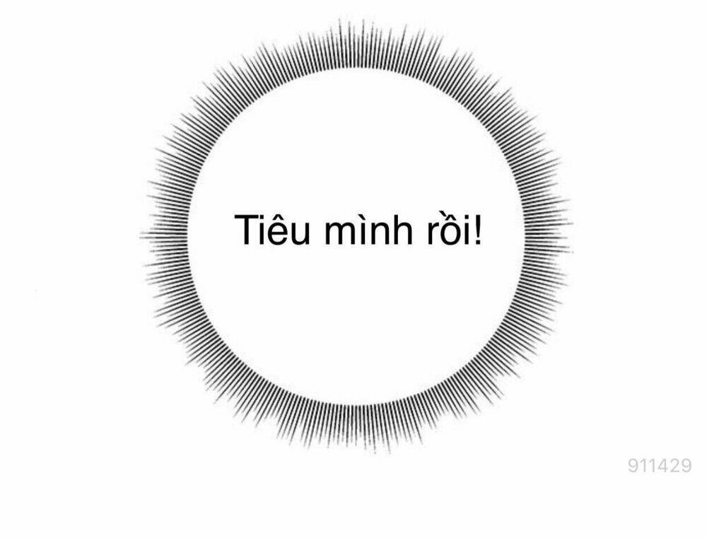 Tôi Kết Hôn Cùng Antifan: Chapter 11