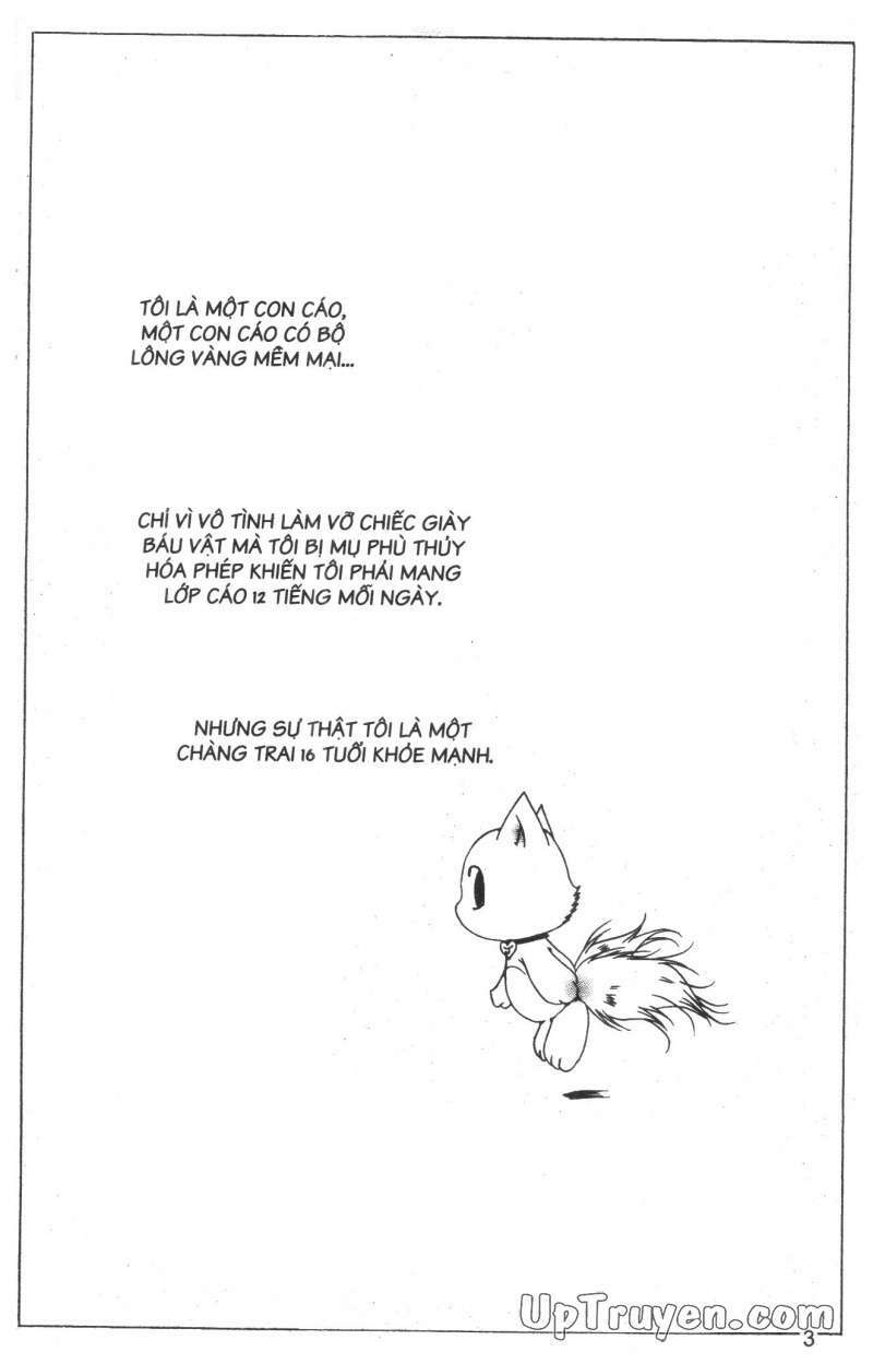 Nước Mắt Nàng Tiên Cá: Chapter 11