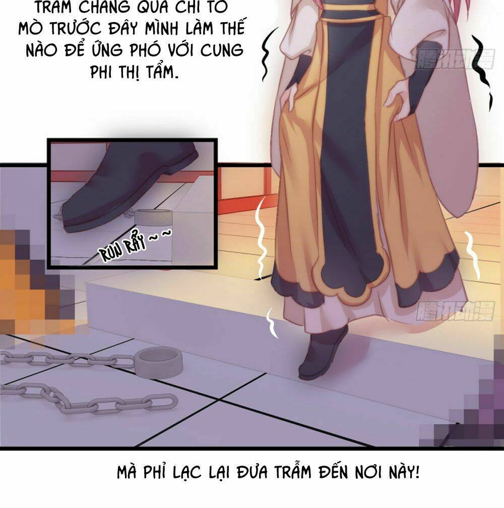 Trẫm Quyết Định Giải Tán Hậu Cung: Chapter 7