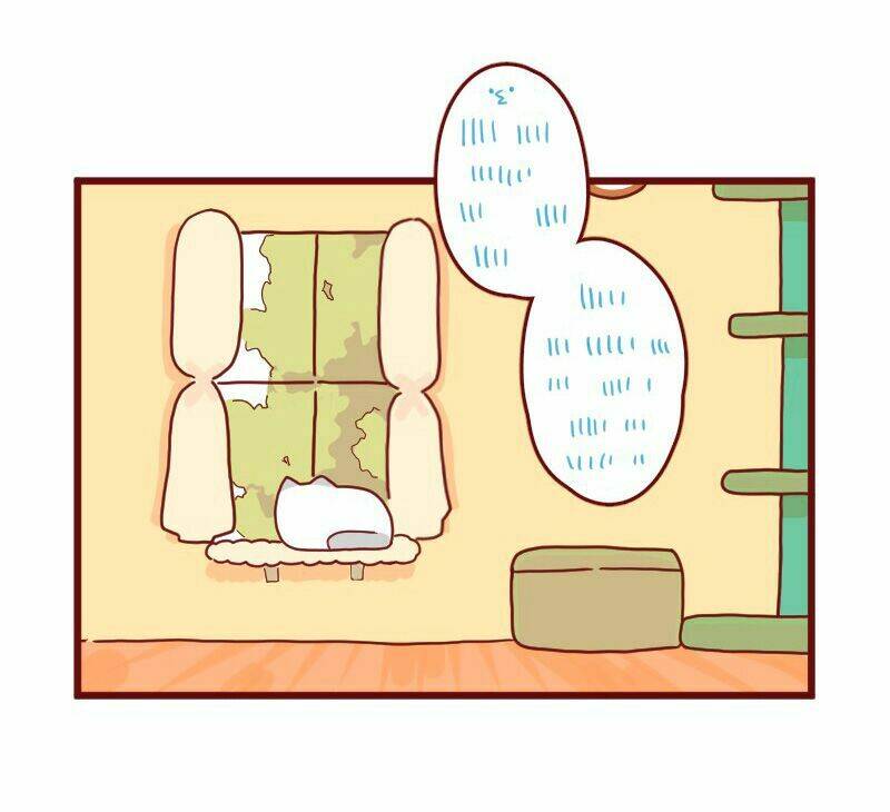 Saphie: Chú mèo một mắt: Chapter 9