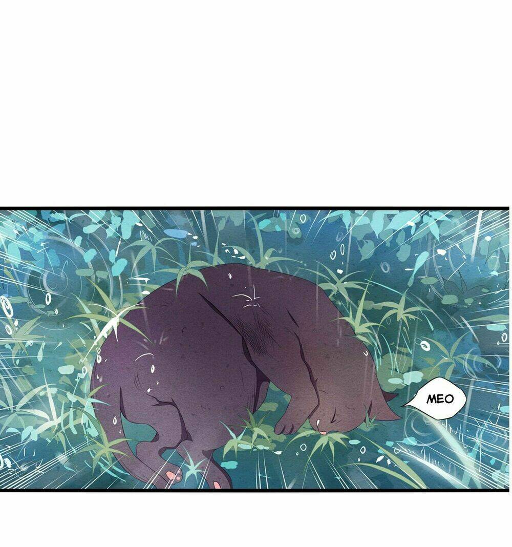 Làm Mèo Của Ta: Chapter 0