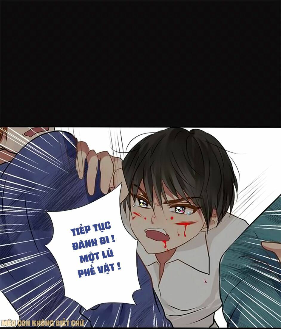 Không Có Ssr Làm Sao Để Yêu: Chapter 12