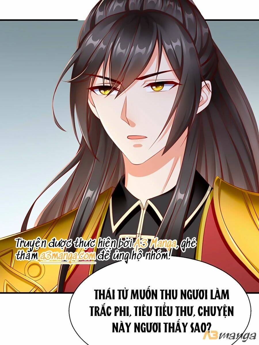 Vương Phi Là Đoá Bạch Liên Hoa: Chapter 13