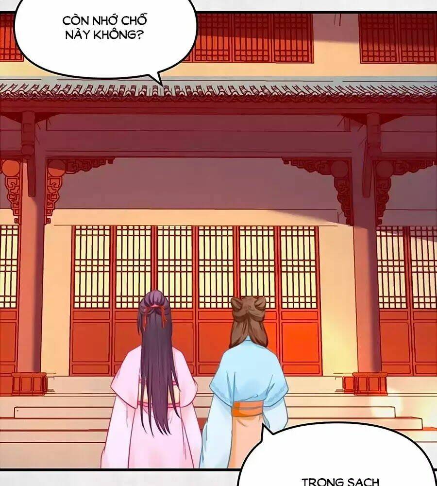 Hoạn Phi Hoàn Triều: Chapter 51