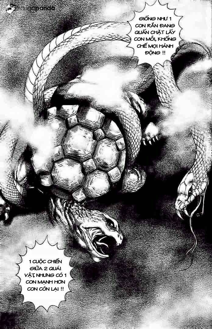 Tough - Miyazawa Kiichi: Chapter 228